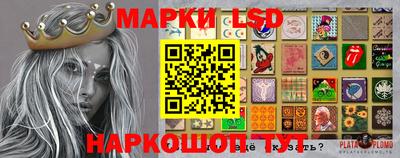 шишки Камышлов