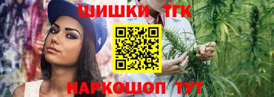 шишки Камышлов