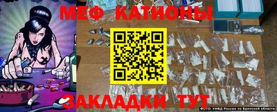 шишки Камышлов